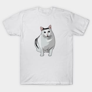 Huh Cat Meme T-Shirt